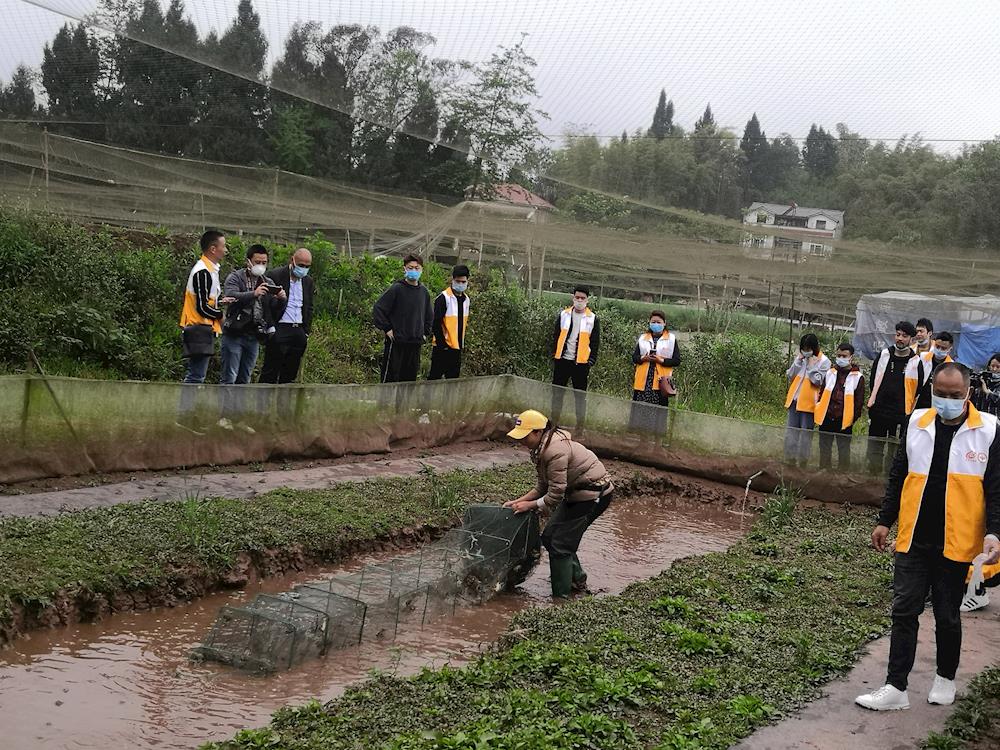 202004150928506605.jpg 202004150928506605.jpg