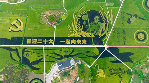 202209271123464101.jpg
