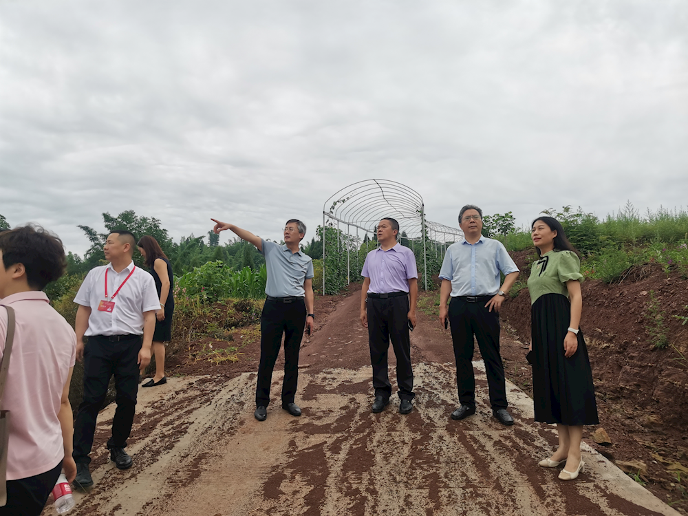 202407011745216742.png 202407011745216742.png