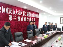 区领导看望参会委员