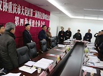 区领导看望参会委员