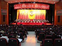 区政协二届四次会议隆重开幕