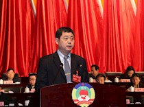 区政协副主席李志在二届四次会议上作提案报告