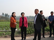 区政协组织委员调研乡村产业发展